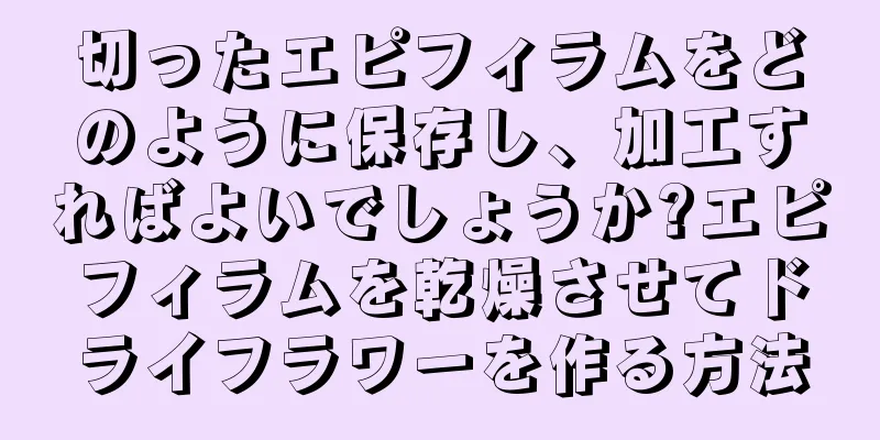 切ったエピフィラムをどのように保存し、加工すればよいでしょうか?エピフィラムを乾燥させてドライフラワーを作る方法