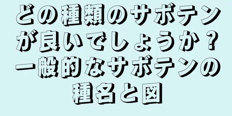 どの種類のサボテンが良いでしょうか？一般的なサボテンの種名と図