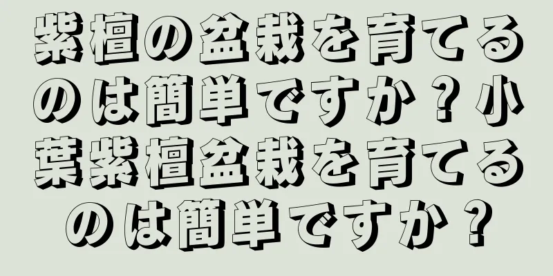 紫檀の盆栽を育てるのは簡単ですか？小葉紫檀盆栽を育てるのは簡単ですか？