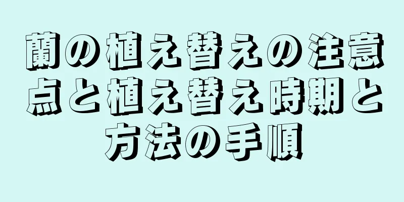 蘭の植え替えの注意点と植え替え時期と方法の手順