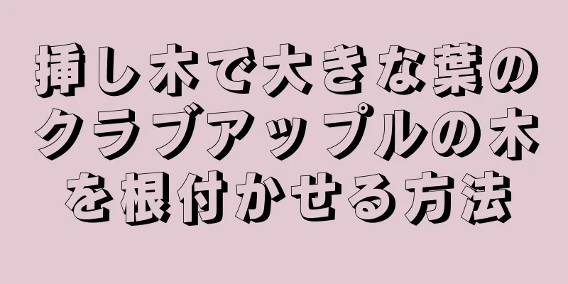 挿し木で大きな葉のクラブアップルの木を根付かせる方法