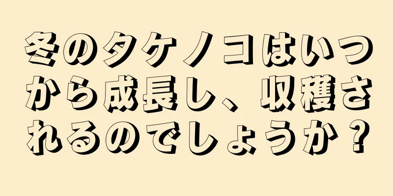 冬のタケノコはいつから成長し、収穫されるのでしょうか？