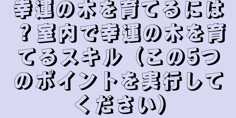 幸運の木を育てるには？室内で幸運の木を育てるスキル（この5つのポイントを実行してください）