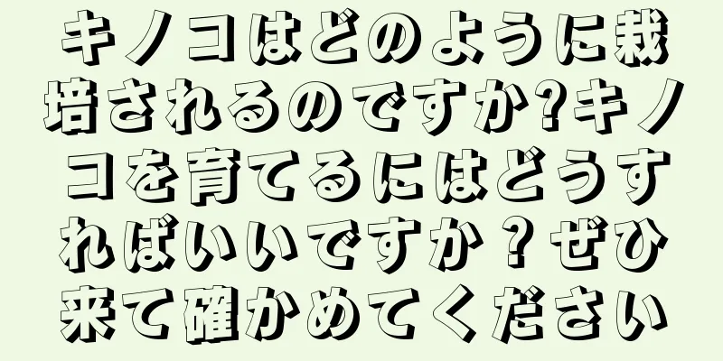 キノコはどのように栽培されるのですか?キノコを育てるにはどうすればいいですか？ぜひ来て確かめてください