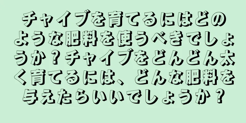 チャイブを育てるにはどのような肥料を使うべきでしょうか？チャイブをどんどん太く育てるには、どんな肥料を与えたらいいでしょうか？