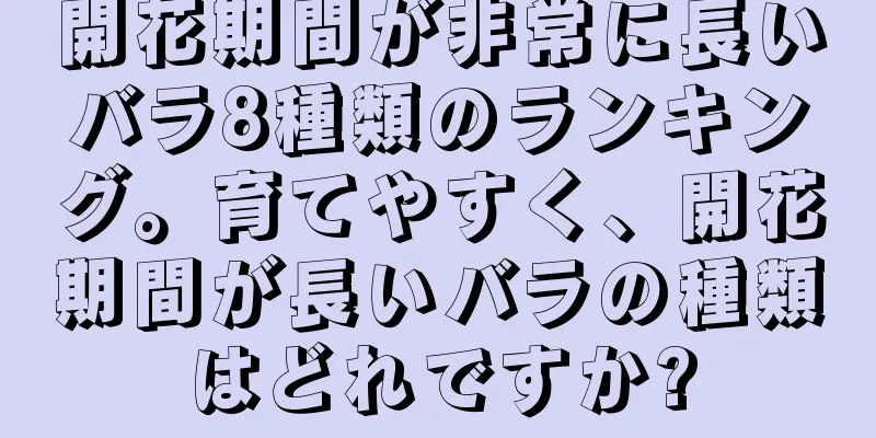開花期間が非常に長いバラ8種類のランキング。育てやすく、開花期間が長いバラの種類はどれですか?
