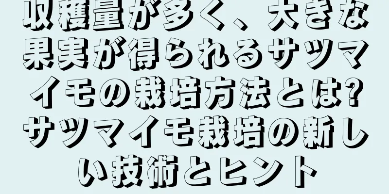 収穫量が多く、大きな果実が得られるサツマイモの栽培方法とは?サツマイモ栽培の新しい技術とヒント
