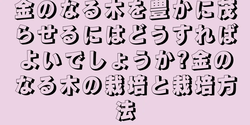 金のなる木を豊かに茂らせるにはどうすればよいでしょうか?金のなる木の栽培と栽培方法