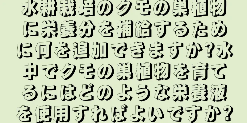 水耕栽培のクモの巣植物に栄養分を補給するために何を追加できますか?水中でクモの巣植物を育てるにはどのような栄養液を使用すればよいですか?