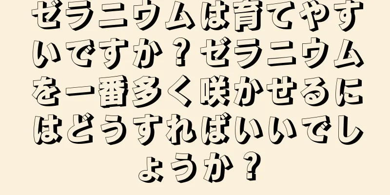 ゼラニウムは育てやすいですか？ゼラニウムを一番多く咲かせるにはどうすればいいでしょうか？