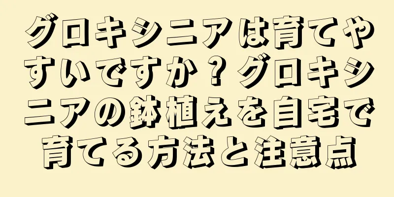 グロキシニアは育てやすいですか？グロキシニアの鉢植えを自宅で育てる方法と注意点