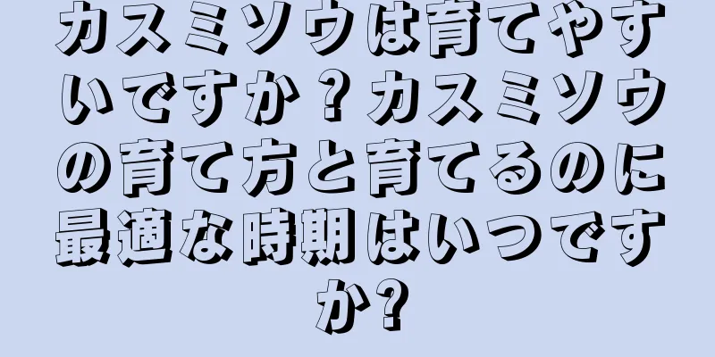 カスミソウは育てやすいですか？カスミソウの育て方と育てるのに最適な時期はいつですか?