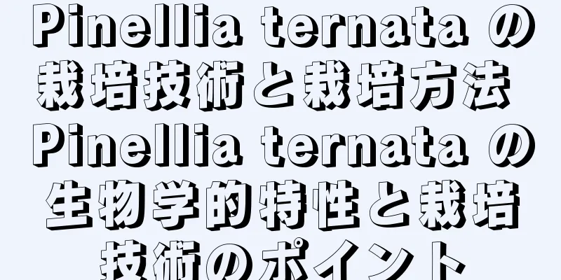 Pinellia ternata の栽培技術と栽培方法 Pinellia ternata の生物学的特性と栽培技術のポイント