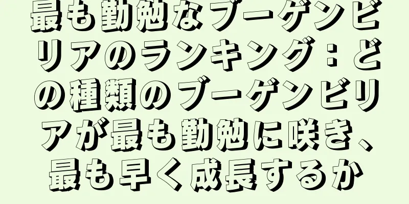 最も勤勉なブーゲンビリアのランキング：どの種類のブーゲンビリアが最も勤勉に咲き、最も早く成長するか
