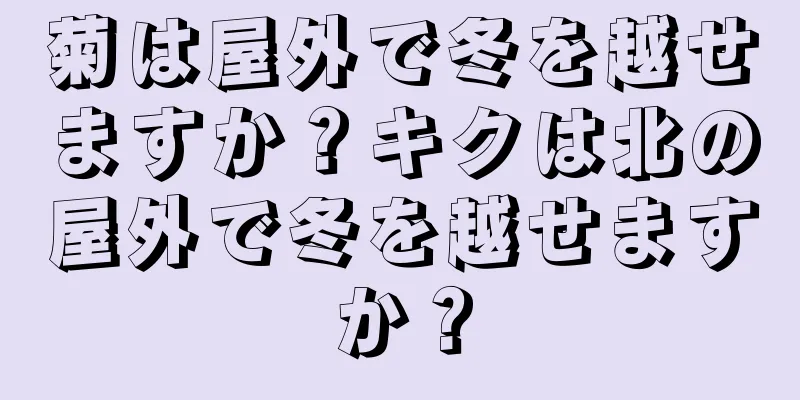 菊は屋外で冬を越せますか？キクは北の屋外で冬を越せますか？