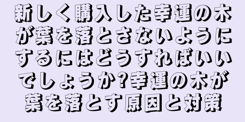 新しく購入した幸運の木が葉を落とさないようにするにはどうすればいいでしょうか?幸運の木が葉を落とす原因と対策