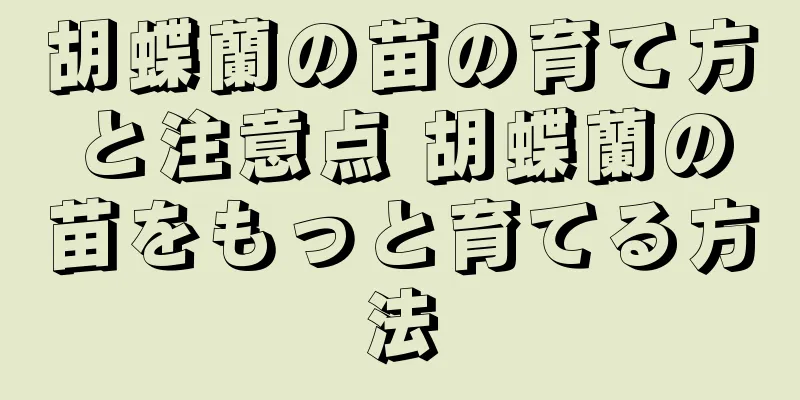 胡蝶蘭の苗の育て方と注意点 胡蝶蘭の苗をもっと育てる方法