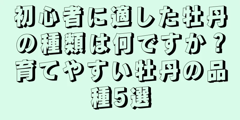 初心者に適した牡丹の種類は何ですか？育てやすい牡丹の品種5選