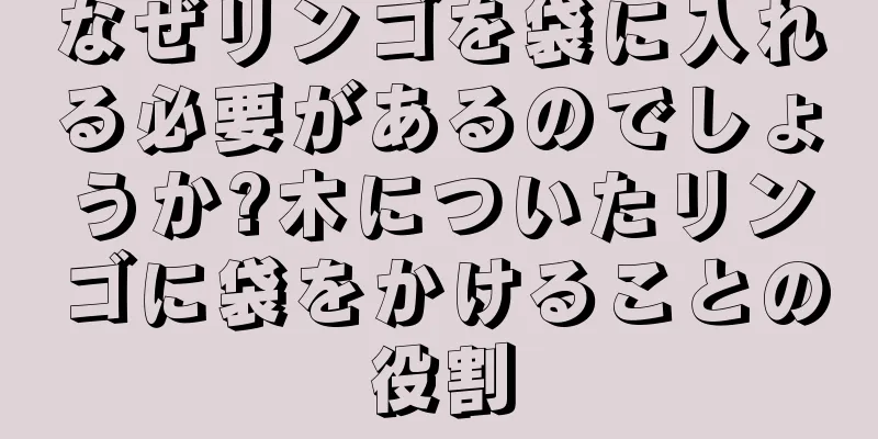 なぜリンゴを袋に入れる必要があるのでしょうか?木についたリンゴに袋をかけることの役割