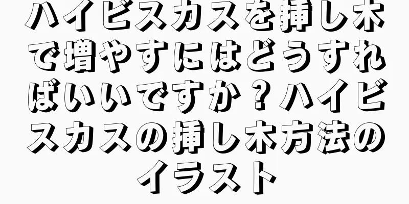 ハイビスカスを挿し木で増やすにはどうすればいいですか？ハイビスカスの挿し木方法のイラスト