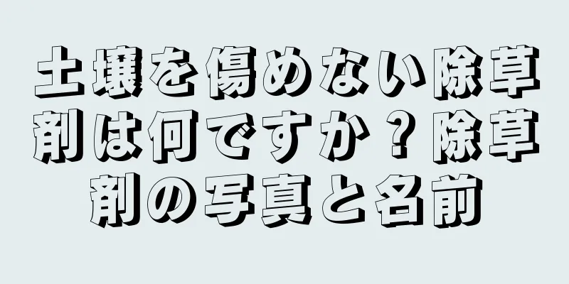 土壌を傷めない除草剤は何ですか？除草剤の写真と名前