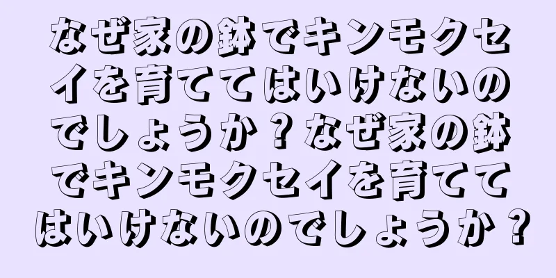 なぜ家の鉢でキンモクセイを育ててはいけないのでしょうか？なぜ家の鉢でキンモクセイを育ててはいけないのでしょうか？