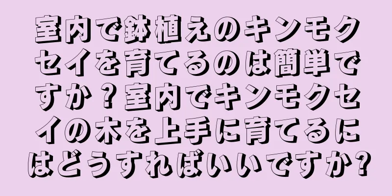 室内で鉢植えのキンモクセイを育てるのは簡単ですか？室内でキンモクセイの木を上手に育てるにはどうすればいいですか?