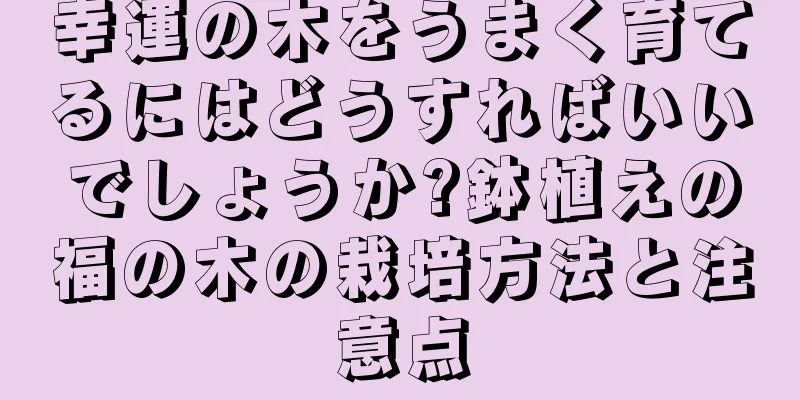 幸運の木をうまく育てるにはどうすればいいでしょうか?鉢植えの福の木の栽培方法と注意点