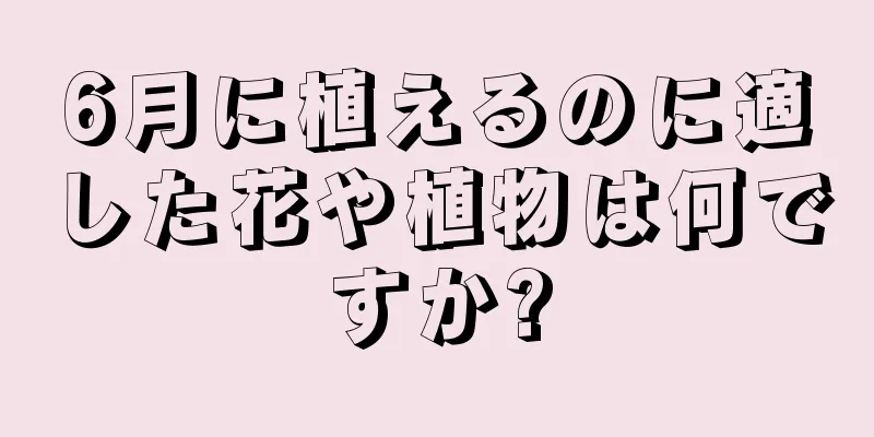 6月に植えるのに適した花や植物は何ですか?