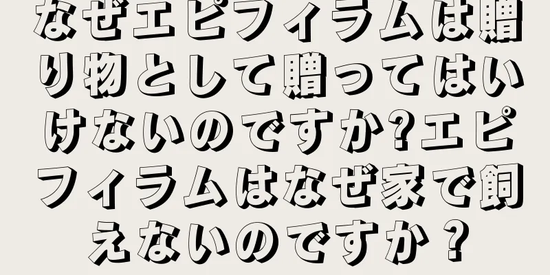 なぜエピフィラムは贈り物として贈ってはいけないのですか?エピフィラムはなぜ家で飼えないのですか？