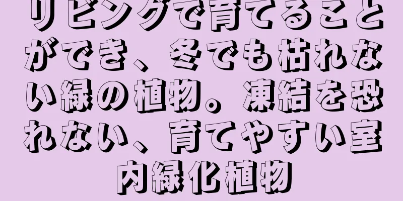 リビングで育てることができ、冬でも枯れない緑の植物。凍結を恐れない、育てやすい室内緑化植物