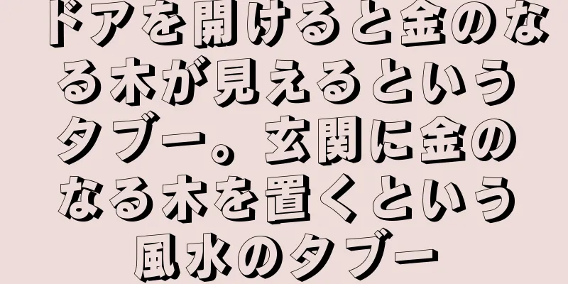 ドアを開けると金のなる木が見えるというタブー。玄関に金のなる木を置くという風水のタブー