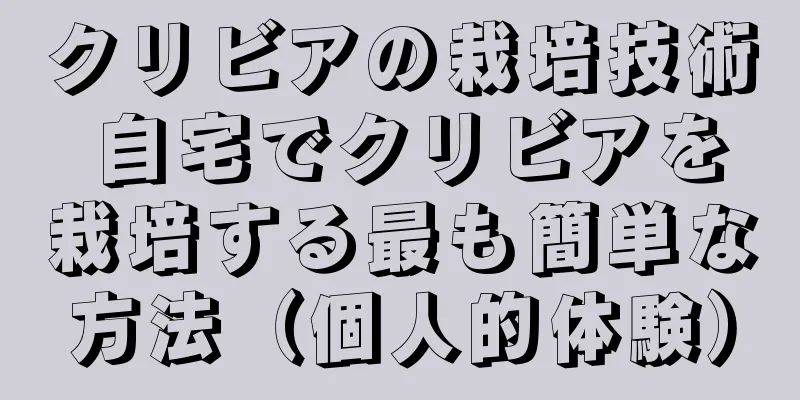 クリビアの栽培技術 自宅でクリビアを栽培する最も簡単な方法（個人的体験）