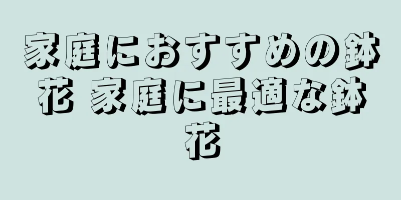 家庭におすすめの鉢花 家庭に最適な鉢花