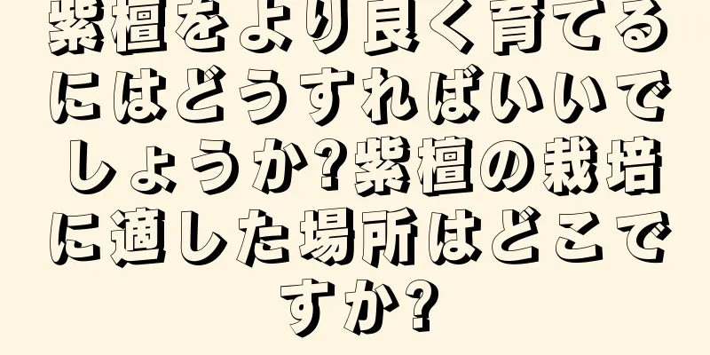 紫檀をより良く育てるにはどうすればいいでしょうか?紫檀の栽培に適した場所はどこですか?