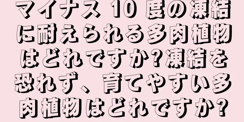 マイナス 10 度の凍結に耐えられる多肉植物はどれですか?凍結を恐れず、育てやすい多肉植物はどれですか?