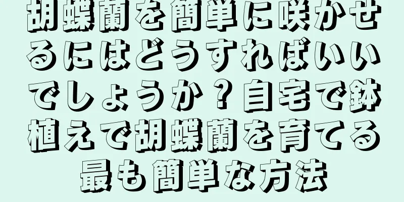 胡蝶蘭を簡単に咲かせるにはどうすればいいでしょうか？自宅で鉢植えで胡蝶蘭を育てる最も簡単な方法