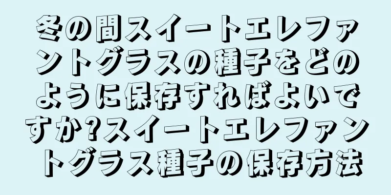 冬の間スイートエレファントグラスの種子をどのように保存すればよいですか?スイートエレファントグラス種子の保存方法