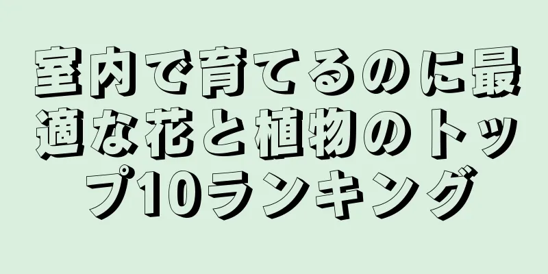室内で育てるのに最適な花と植物のトップ10ランキング
