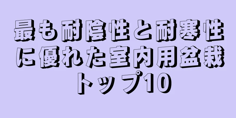 最も耐陰性と耐寒性に優れた室内用盆栽トップ10