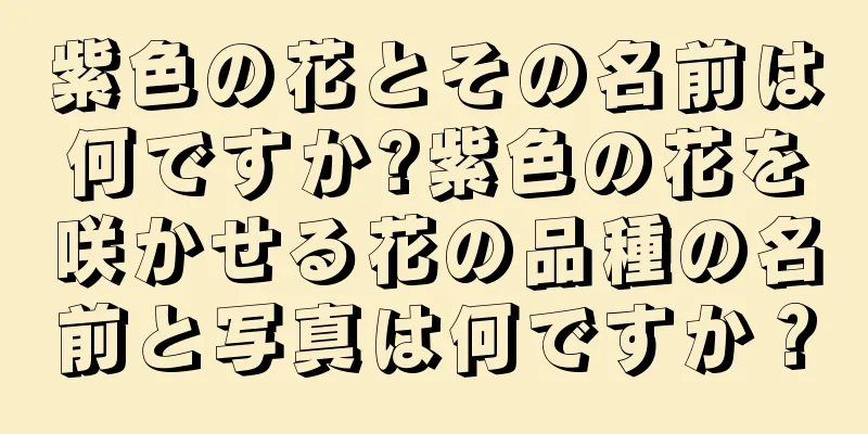 紫色の花とその名前は何ですか?紫色の花を咲かせる花の品種の名前と写真は何ですか？