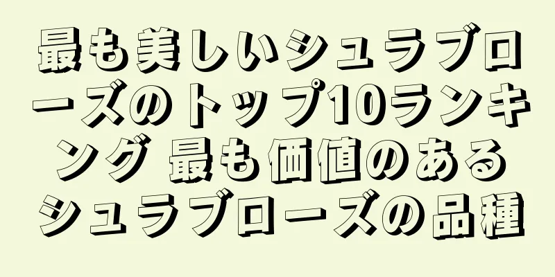 最も美しいシュラブローズのトップ10ランキング 最も価値のあるシュラブローズの品種