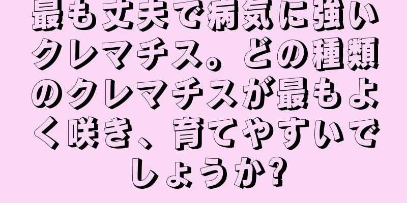 最も丈夫で病気に強いクレマチス。どの種類のクレマチスが最もよく咲き、育てやすいでしょうか?