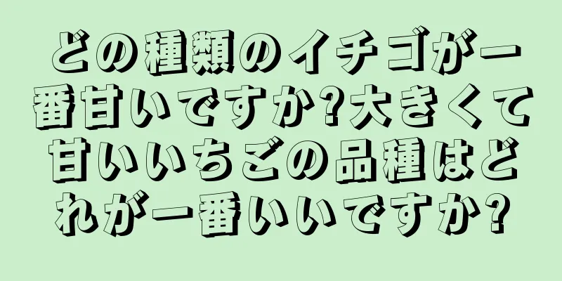 どの種類のイチゴが一番甘いですか?大きくて甘いいちごの品種はどれが一番いいですか?