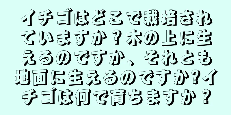 イチゴはどこで栽培されていますか？木の上に生えるのですか、それとも地面に生えるのですか?イチゴは何で育ちますか？