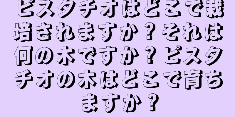 ピスタチオはどこで栽培されますか？それは何の木ですか？ピスタチオの木はどこで育ちますか？