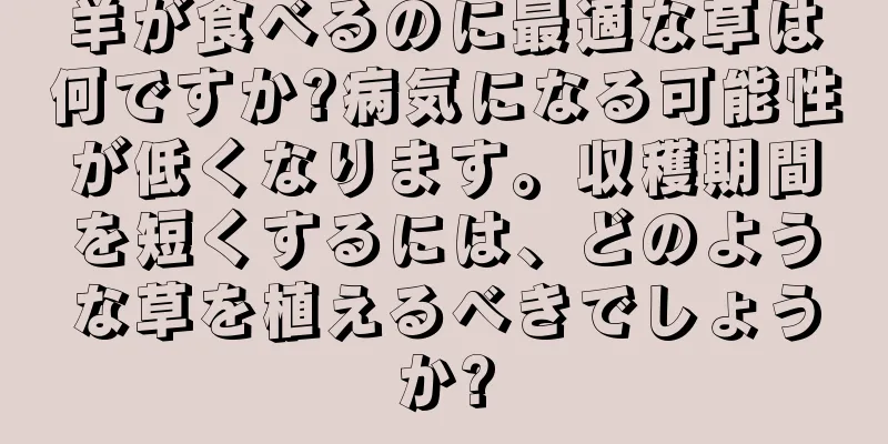 羊が食べるのに最適な草は何ですか?病気になる可能性が低くなります。収穫期間を短くするには、どのような草を植えるべきでしょうか?