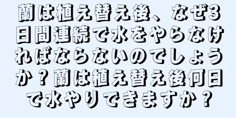 蘭は植え替え後、なぜ3日間連続で水をやらなければならないのでしょうか？蘭は植え替え後何日で水やりできますか？