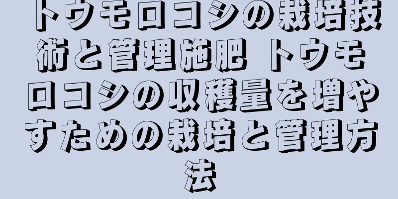 トウモロコシの栽培技術と管理施肥 トウモロコシの収穫量を増やすための栽培と管理方法