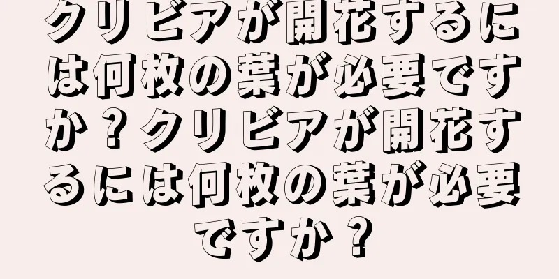 クリビアが開花するには何枚の葉が必要ですか？クリビアが開花するには何枚の葉が必要ですか？